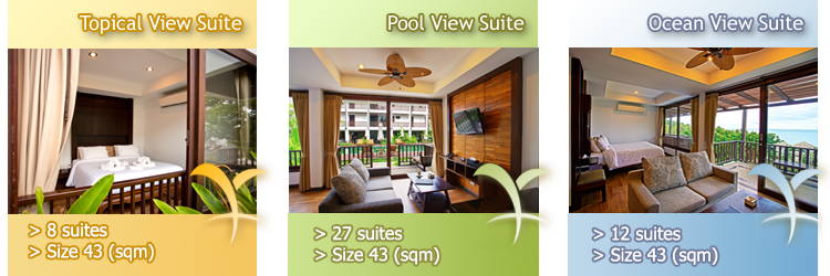 Room View